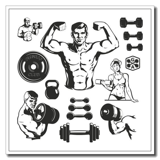 Fitness